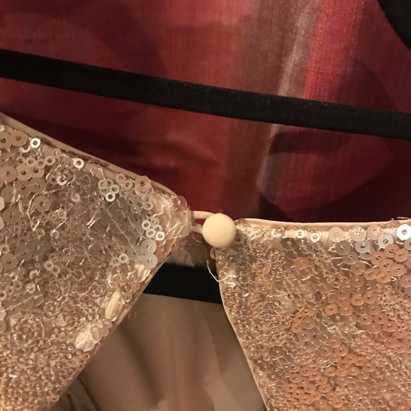 Champagne Dress - Picture 3 of 5